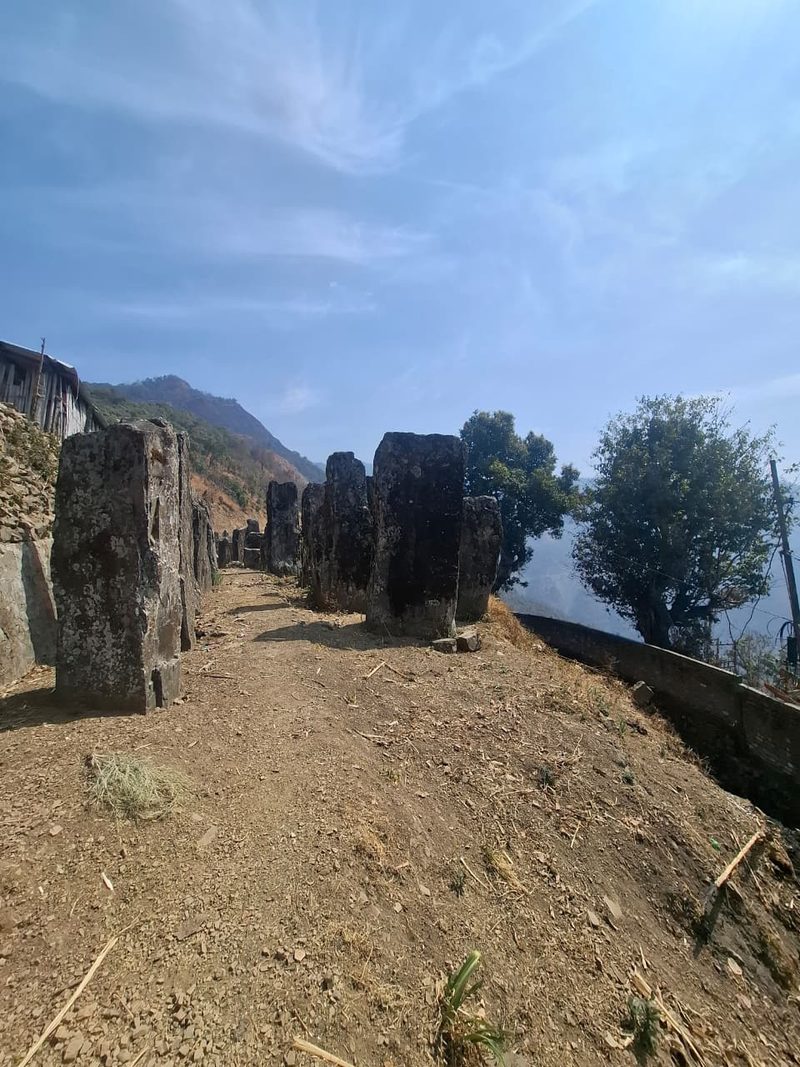 Naga tribal culture