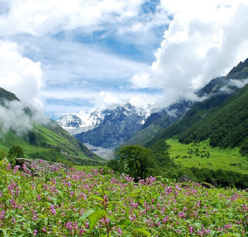 Dzükou Valley